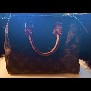 Louis Vuitton Monogram Speedy 25 handbag
